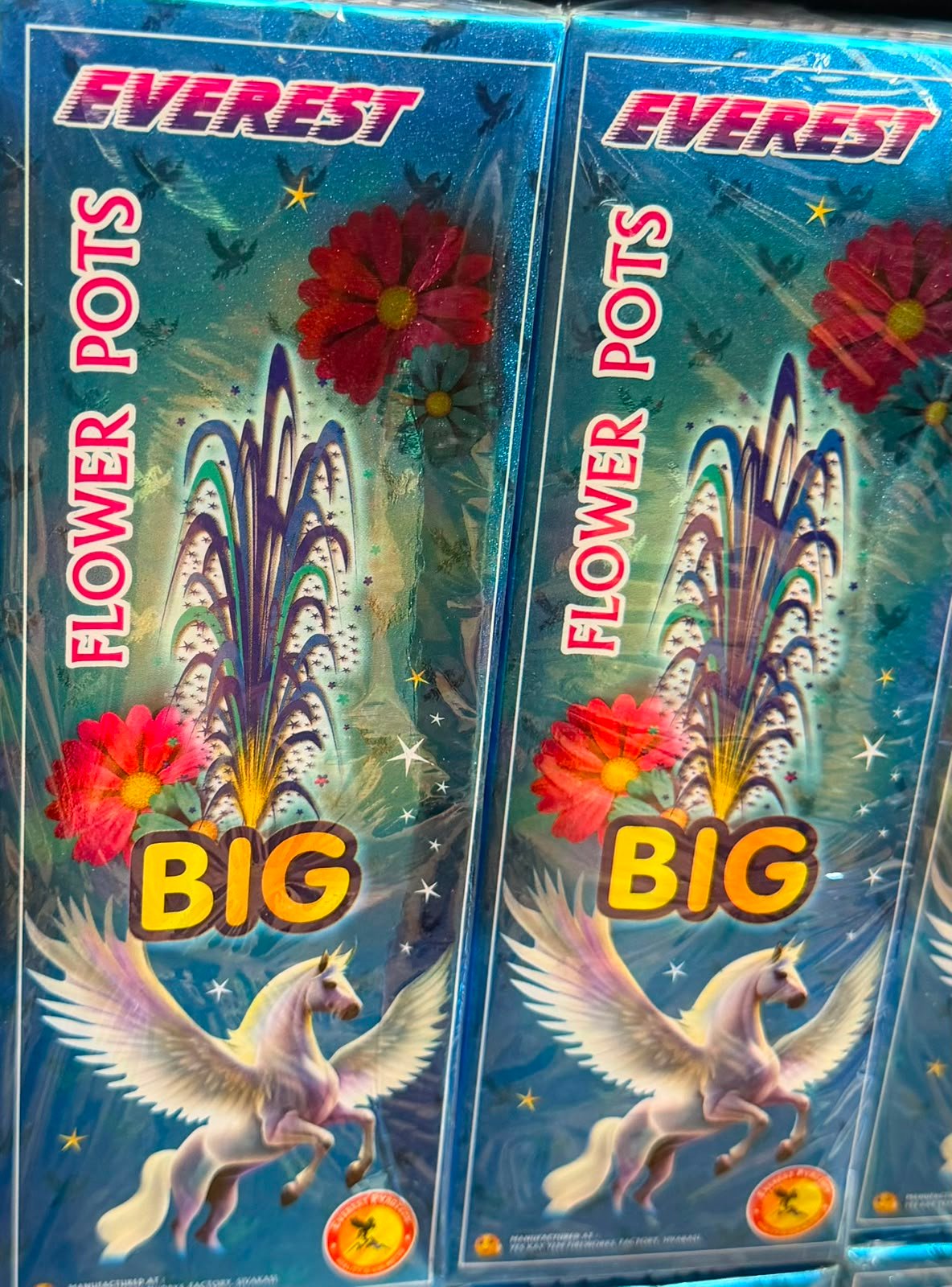 FLOWER POTS BIG (EVEREST)